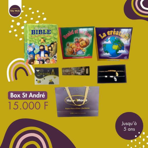 BOX ST ANDRE ( JUSQU'A 5ANS)
